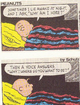 Peanuts; Charlie Brown; Where do you want to be? Why am I here?